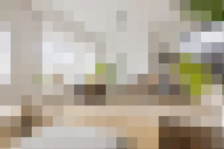 Van Royenlaan 47 a Groningen thumbnail 20