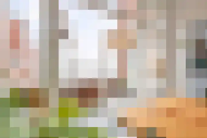 Van Royenlaan 47 a Groningen thumbnail 25
