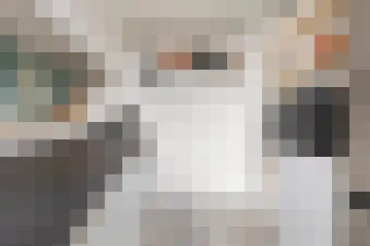 Van Royenlaan 47 a Groningen thumbnail 29