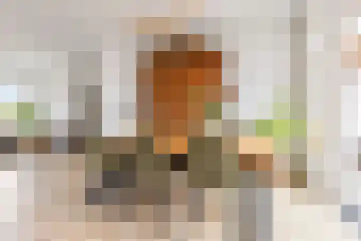 Van Royenlaan 47 a Groningen thumbnail 30
