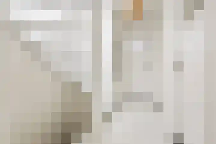 Van Royenlaan 47 a Groningen thumbnail 31