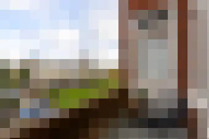 Van Royenlaan 47 a Groningen thumbnail 43