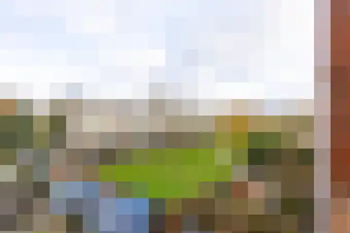 Van Royenlaan 47 a Groningen thumbnail 44