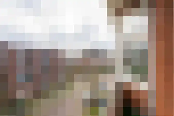 Van Royenlaan 47 a Groningen thumbnail 45