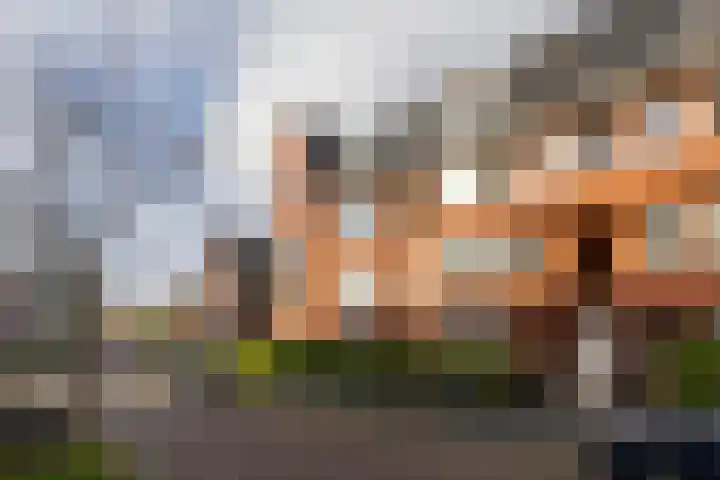 Van Royenlaan 47 a Groningen thumbnail 8