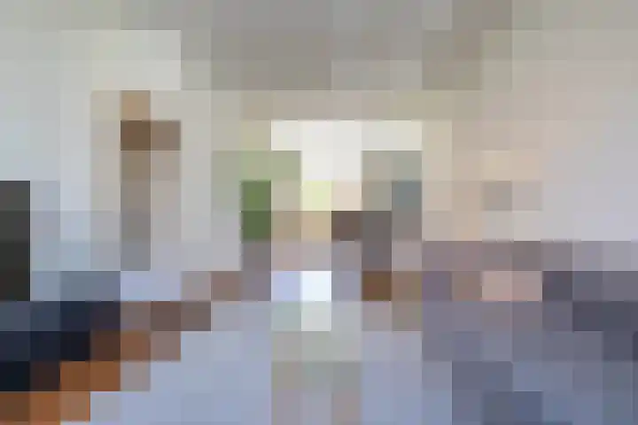 Van Royenlaan 48 Groningen thumbnail 10