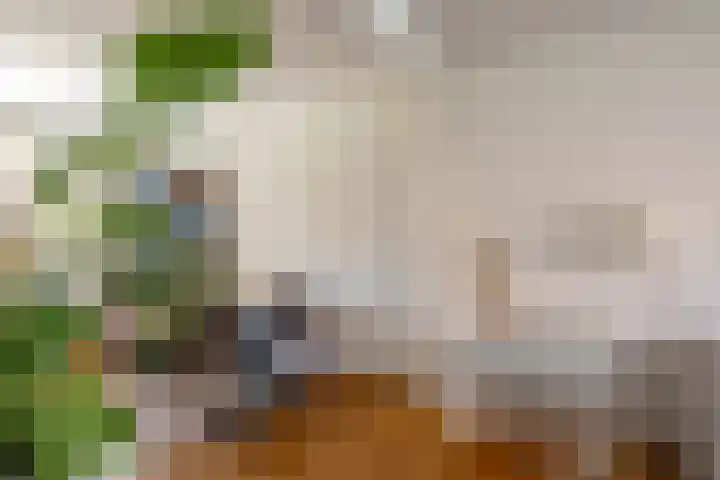 Van Royenlaan 48 Groningen thumbnail 12
