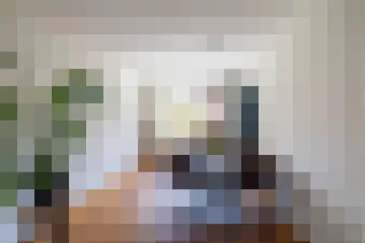 Van Royenlaan 48 Groningen thumbnail 13