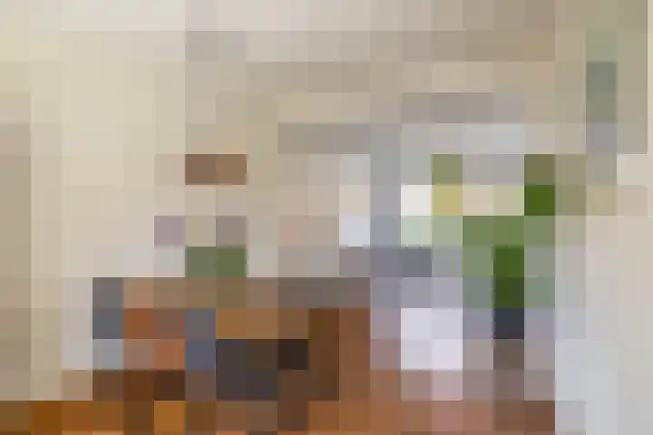 Van Royenlaan 48 Groningen thumbnail 14