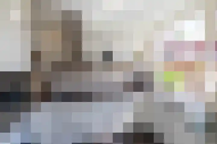 Van Royenlaan 48 Groningen thumbnail 19