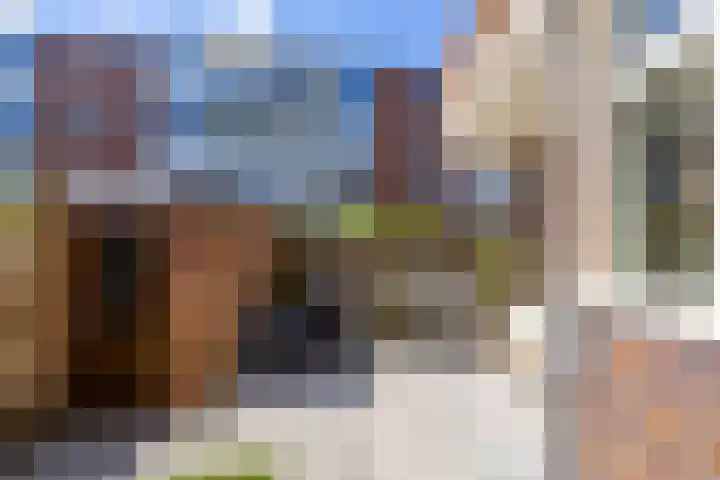 Van Royenlaan 48 Groningen thumbnail 31