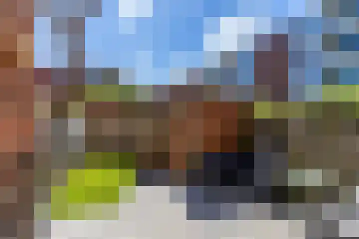 Van Royenlaan 48 Groningen thumbnail 34