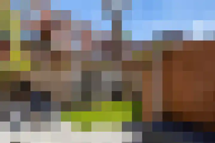 Van Royenlaan 48 Groningen thumbnail 35