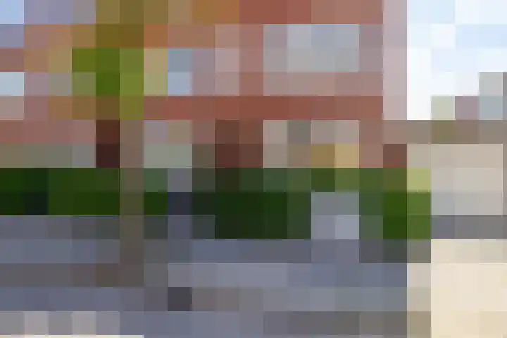 Van Royenlaan 48 Groningen thumbnail 36