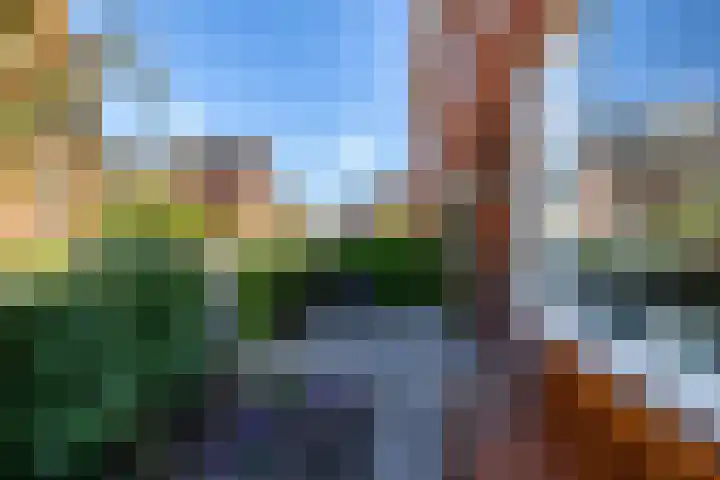 Van Royenlaan 48 Groningen thumbnail 37