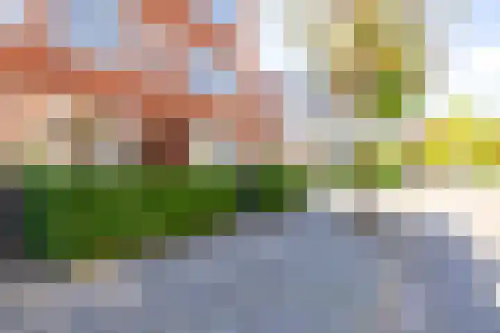 Van Royenlaan 48 Groningen thumbnail 4