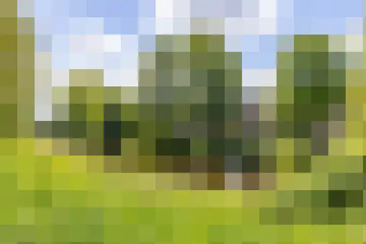 Van Royenlaan 48 Groningen thumbnail 40