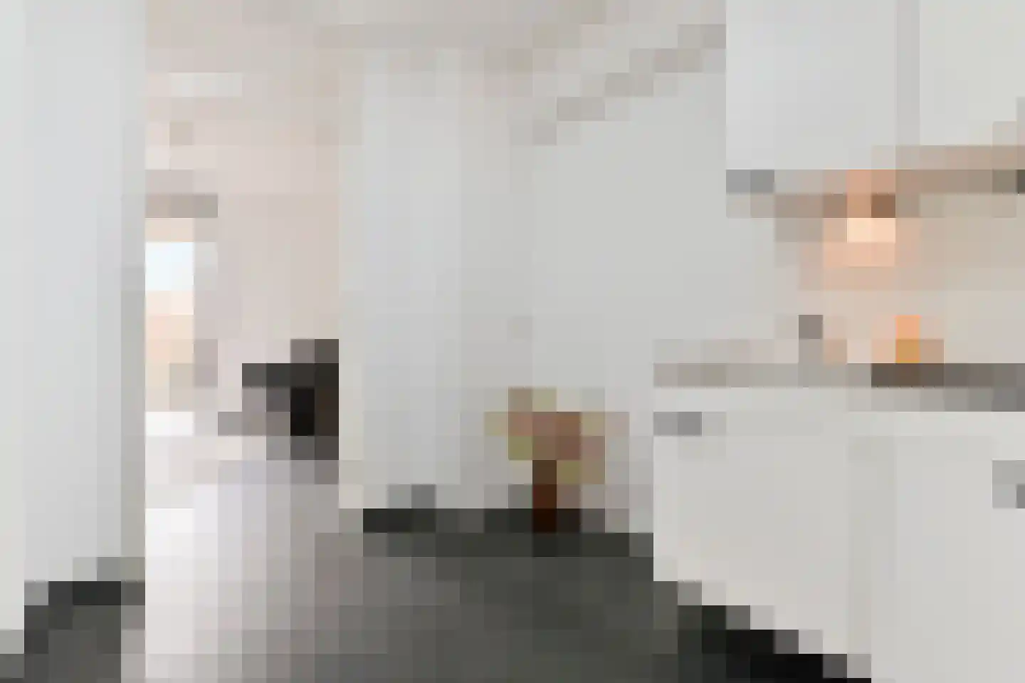 van Royenstraat 19 Voorburg thumbnail 10