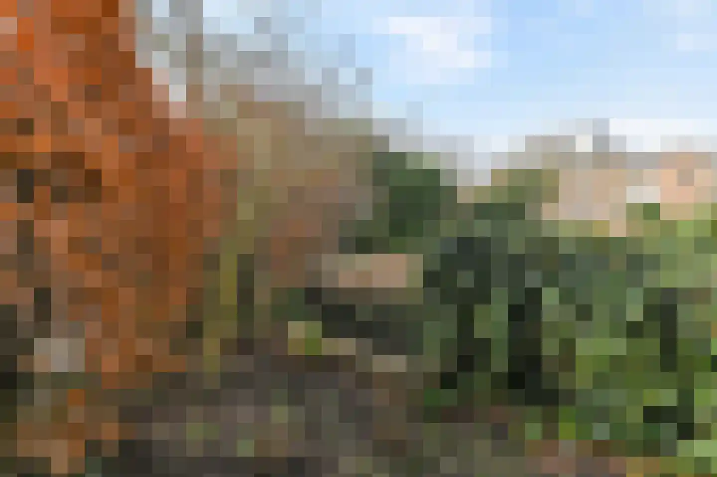 van Royenstraat 19 Voorburg thumbnail 16