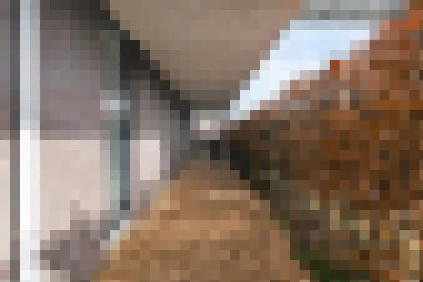 van Royenstraat 19 Voorburg thumbnail 18