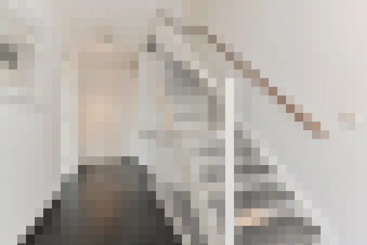 van Royenstraat 19 Voorburg thumbnail 19