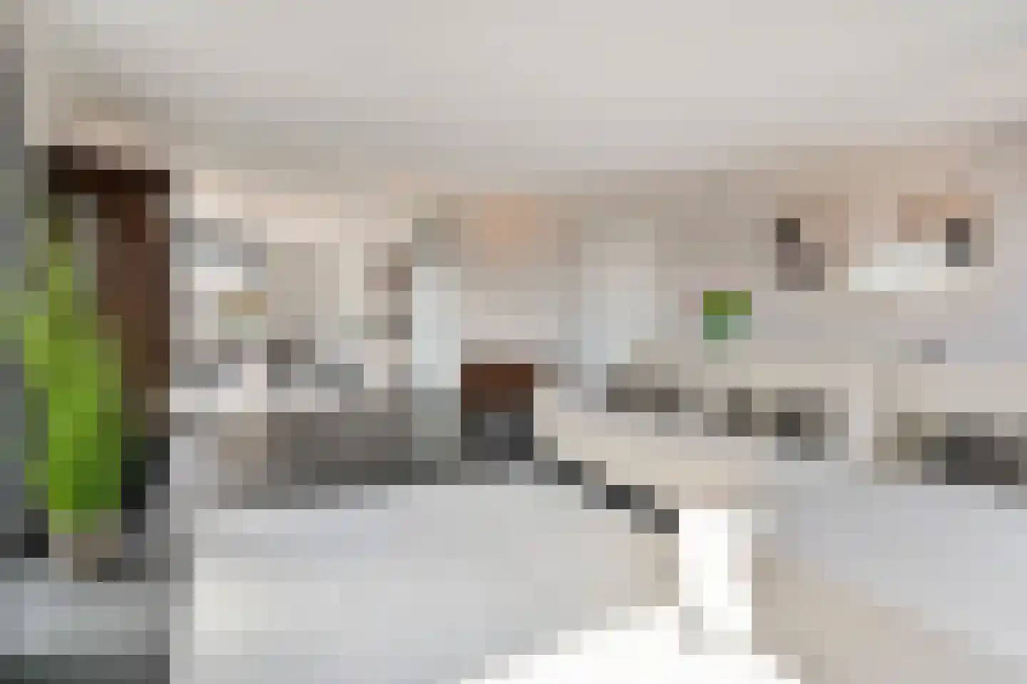 van Royenstraat 19 Voorburg thumbnail 29
