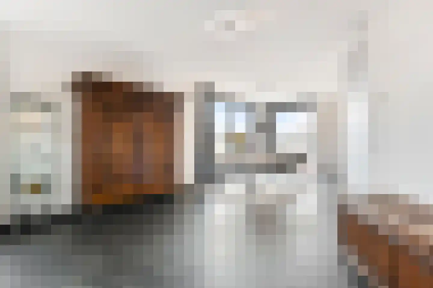 van Royenstraat 19 Voorburg thumbnail 30