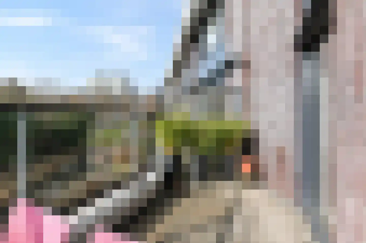 van Royenstraat 19 Voorburg thumbnail 41