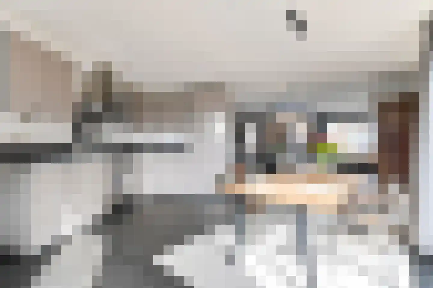 van Royenstraat 19 Voorburg thumbnail 43