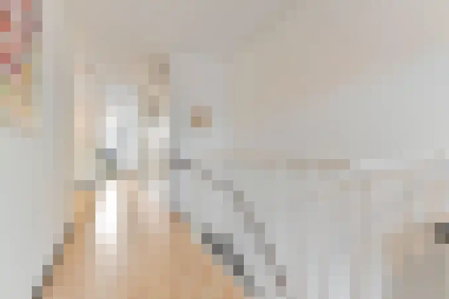 van Royenstraat 19 Voorburg thumbnail 46