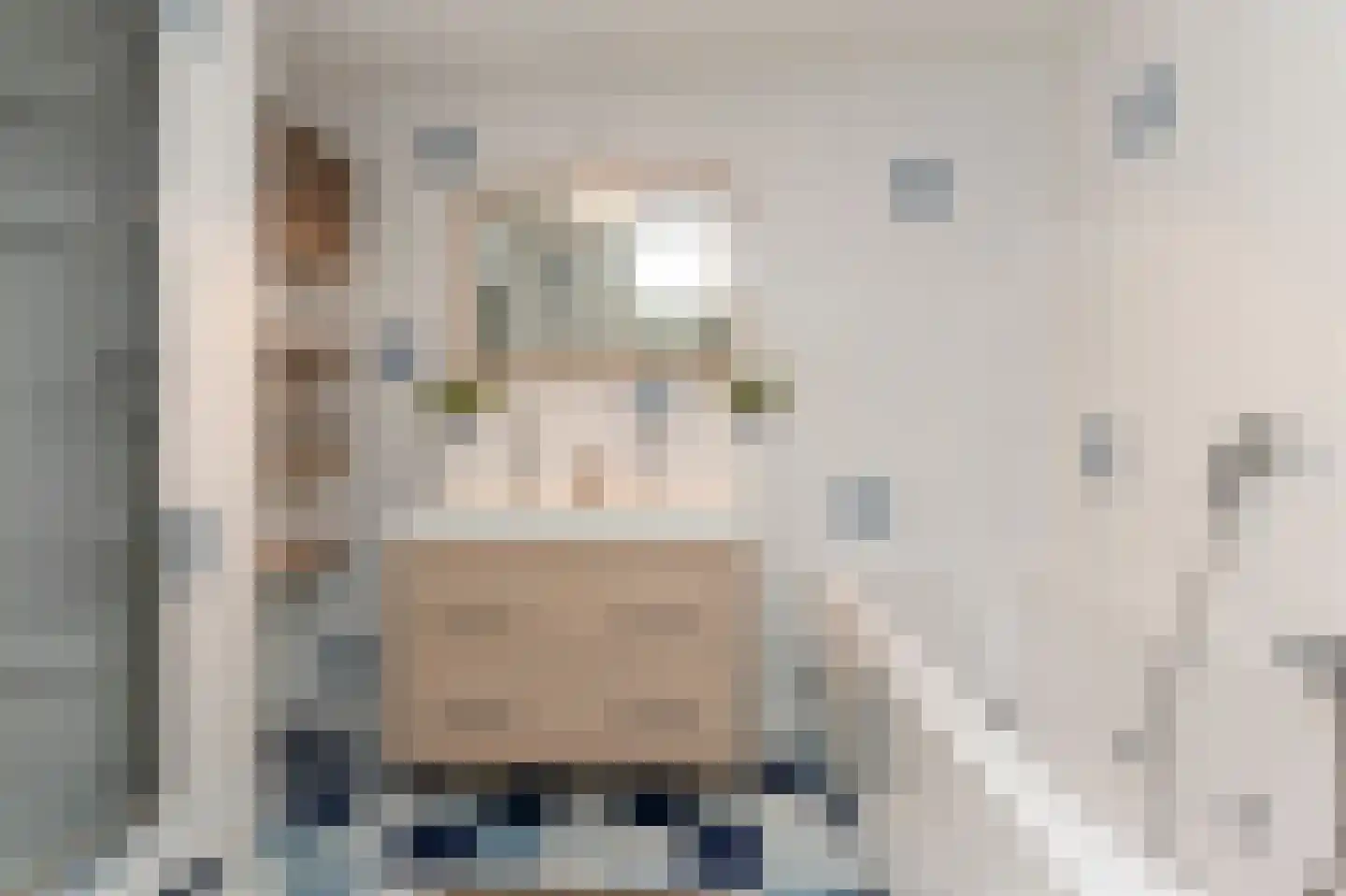 van Royenstraat 19 Voorburg thumbnail 55