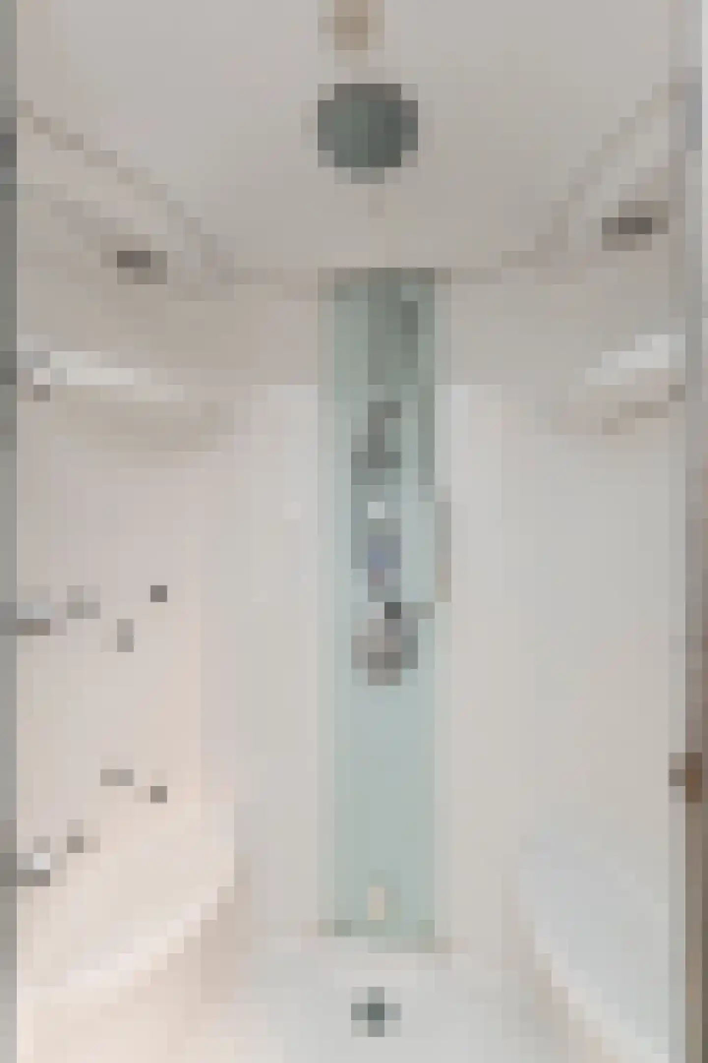 van Royenstraat 19 Voorburg thumbnail 59