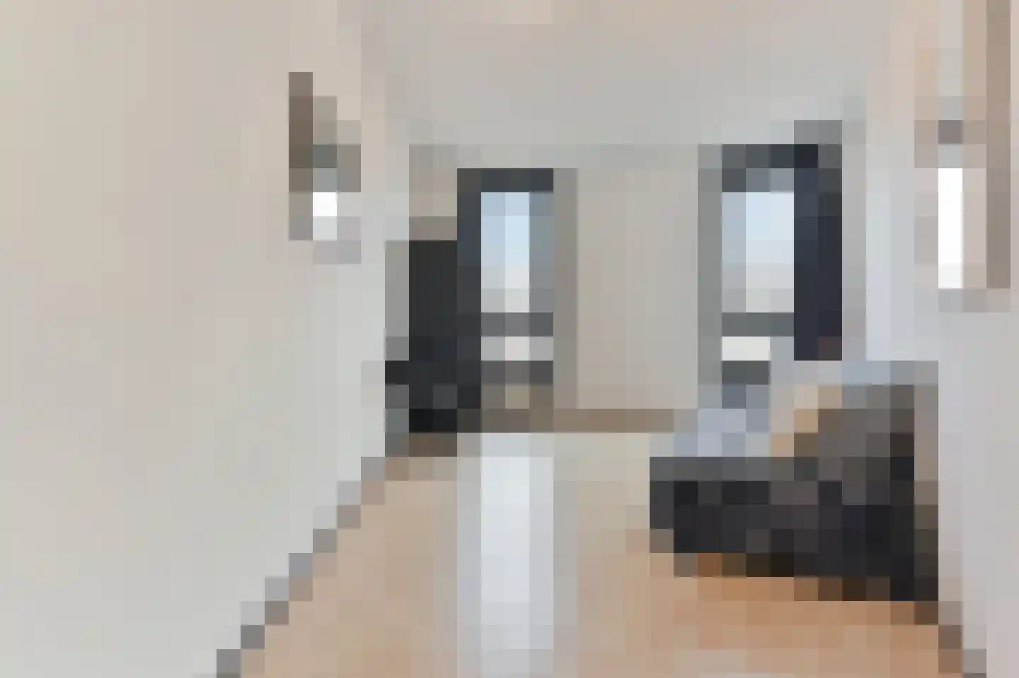 van Royenstraat 19 Voorburg thumbnail 60