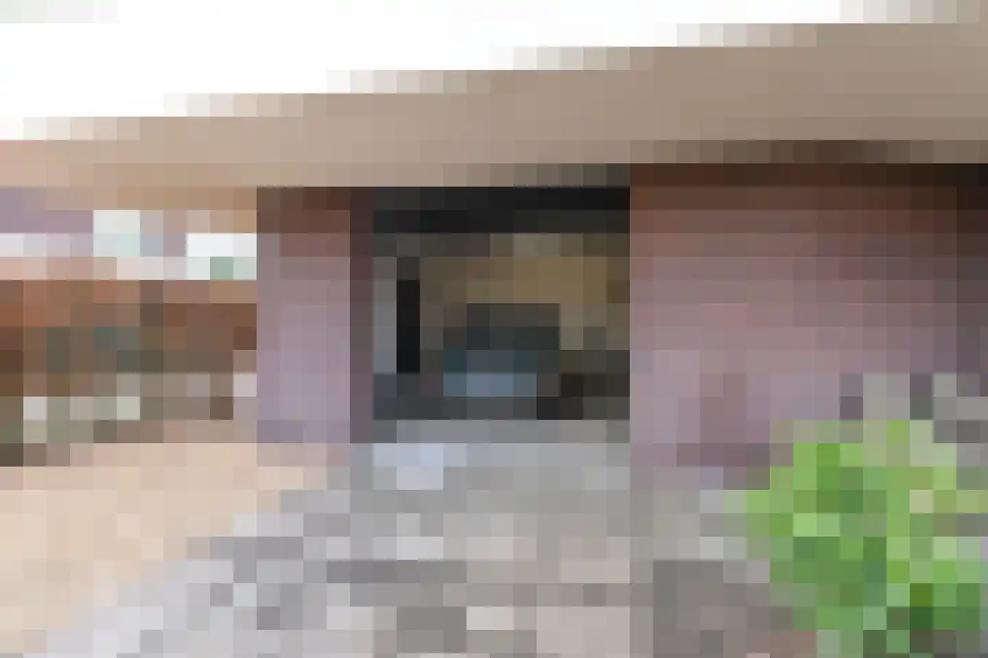 van Royenstraat 19 Voorburg thumbnail 69