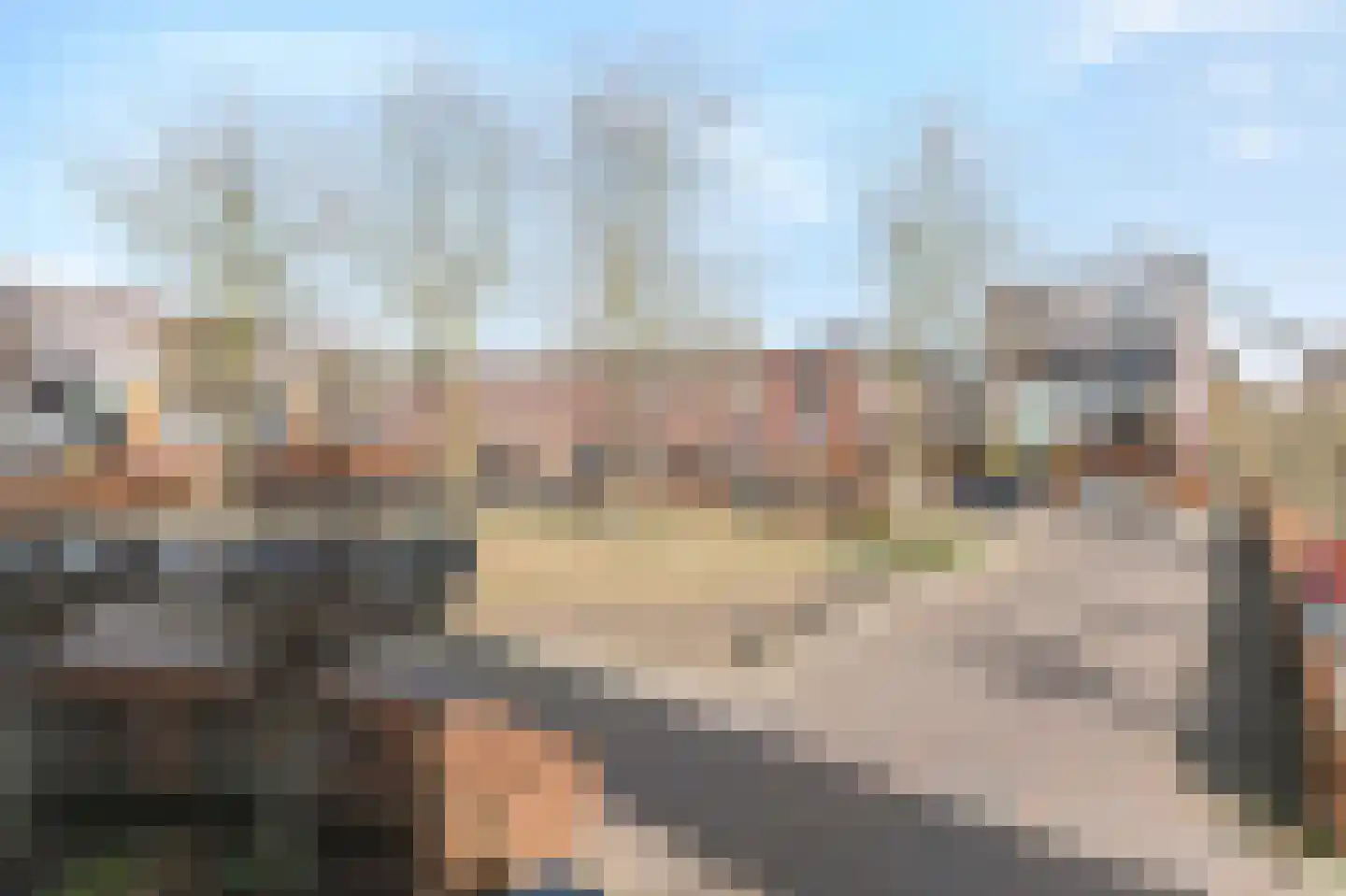 van Royenstraat 19 Voorburg thumbnail 70