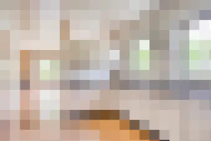 Van Royenstraat 3 Diever thumbnail 14