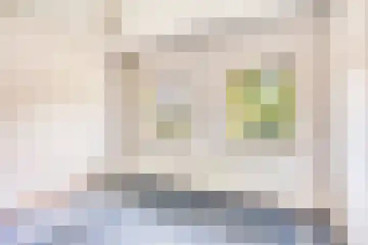 Van Royenstraat 3 Diever thumbnail 15