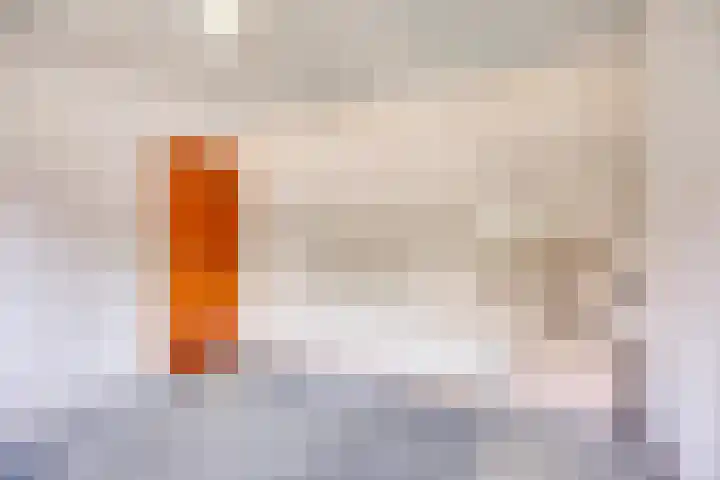 Van Royenstraat 3 Diever thumbnail 16