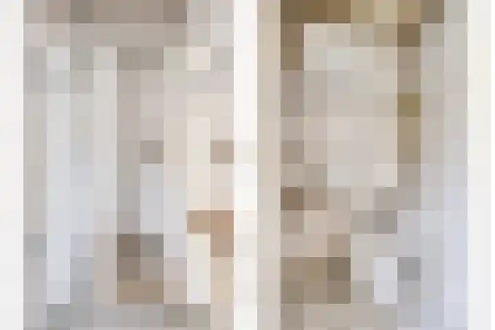 Van Royenstraat 3 Diever thumbnail 18