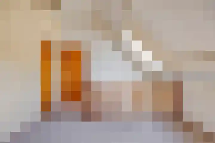 Van Royenstraat 3 Diever thumbnail 19