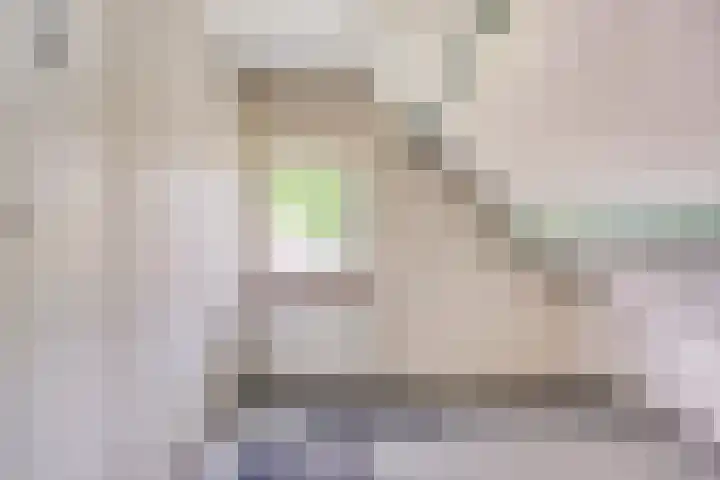 Van Royenstraat 3 Diever thumbnail 21