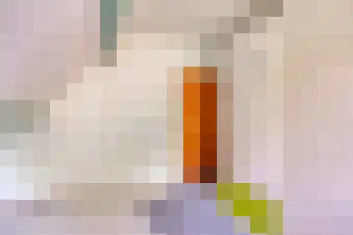 Van Royenstraat 3 Diever thumbnail 22