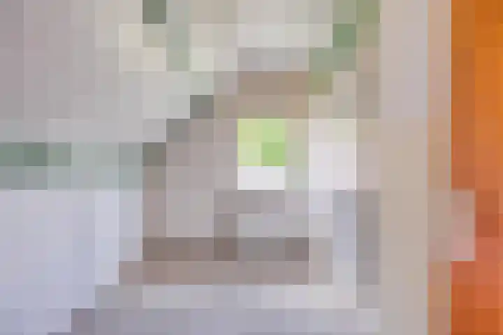 Van Royenstraat 3 Diever thumbnail 23