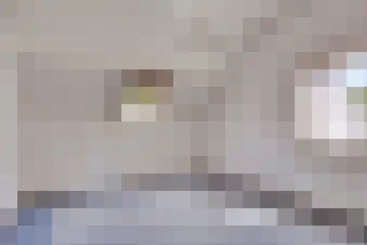 Van Royenstraat 3 Diever thumbnail 25