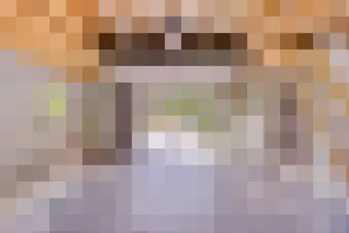 Van Royenstraat 3 Diever thumbnail 28