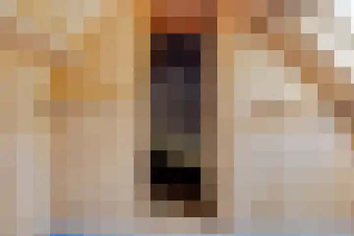 Van Royenstraat 3 Diever thumbnail 29