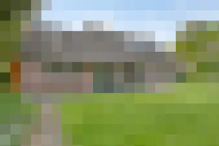 Van Royenstraat 3 Diever thumbnail 30