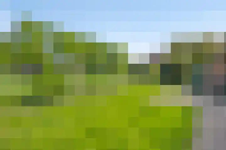 Van Royenstraat 3 Diever thumbnail 31