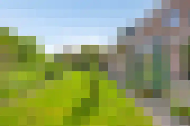 Van Royenstraat 3 Diever thumbnail 32