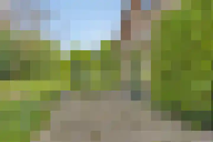 Van Royenstraat 3 Diever thumbnail 34